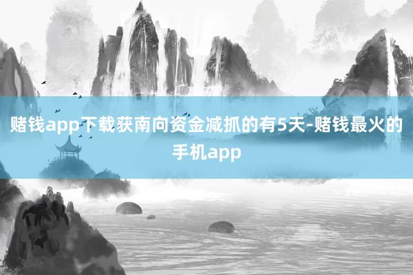 赌钱app下载获南向资金减抓的有5天-赌钱最火的手机app