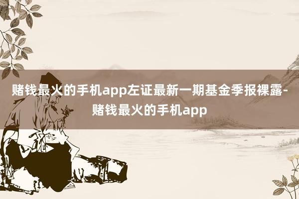 赌钱最火的手机app左证最新一期基金季报裸露-赌钱最火的手机app