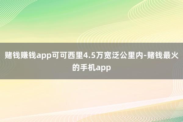 赌钱赚钱app可可西里4.5万宽泛公里内-赌钱最火的手机app