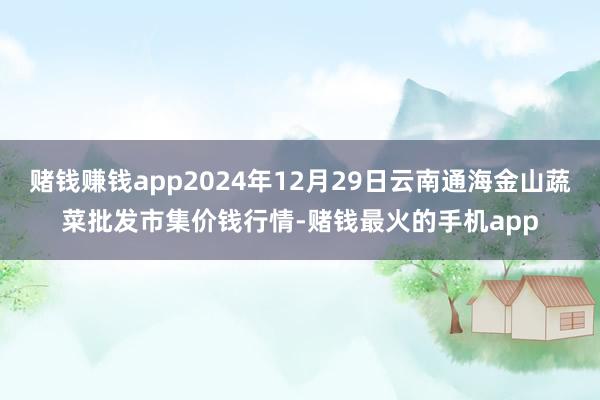 赌钱赚钱app2024年12月29日云南通海金山蔬菜批发市集价钱行情-赌钱最火的手机app