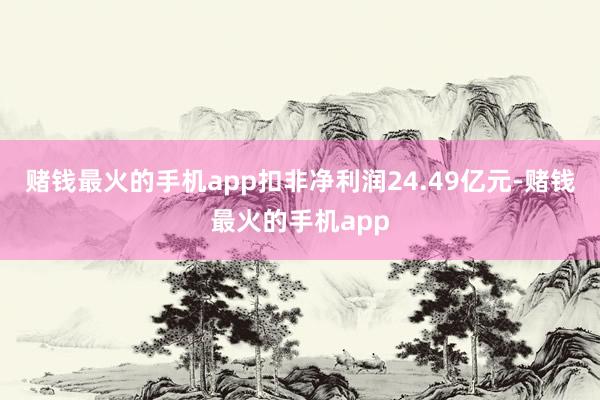 赌钱最火的手机app扣非净利润24.49亿元-赌钱最火的手机app