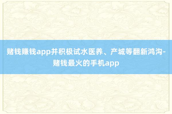 赌钱赚钱app并积极试水医养、产城等翻新鸿沟-赌钱最火的手机app